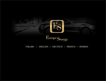 Tablet Screenshot of europesinergy.magellano.it